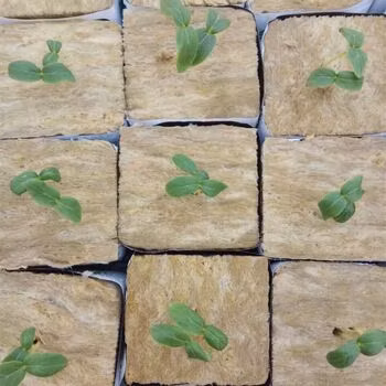 Гидропонные кубики из минеральной ваты для выращивания семян