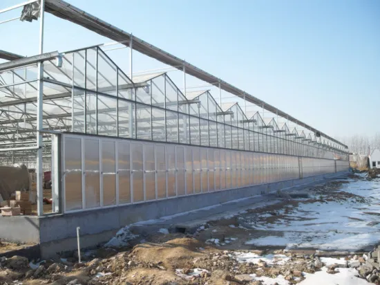 Сельскохозяйственное тепличное покрытие Venlo из поликарбоната/стекла для продажи